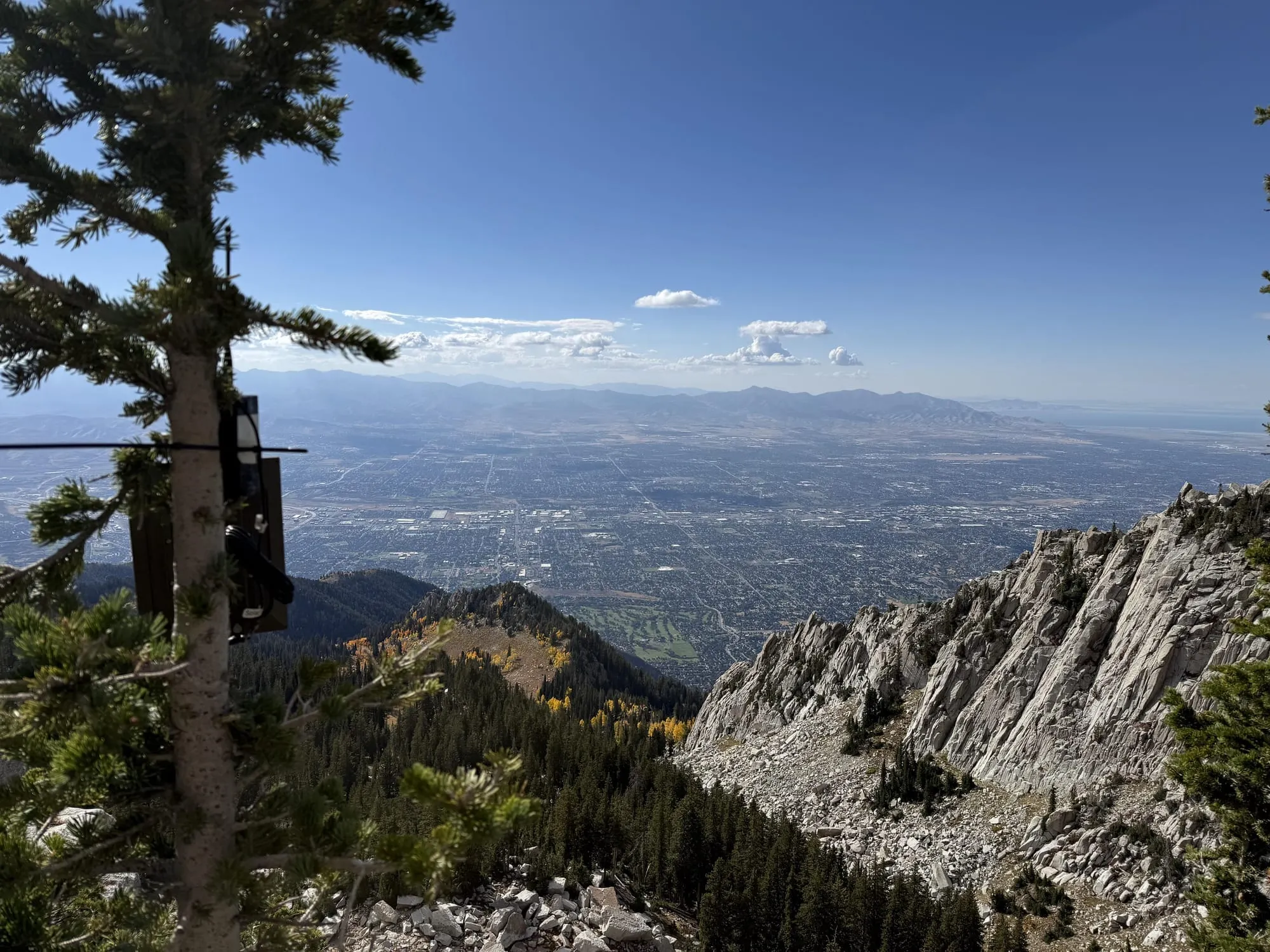 A small solar-powered Meshtastic node strapped to a pine tree on a rocky mountainside, with the Salt Lake City valley spread out far below.